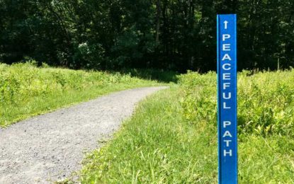 peaceful-path-415×260