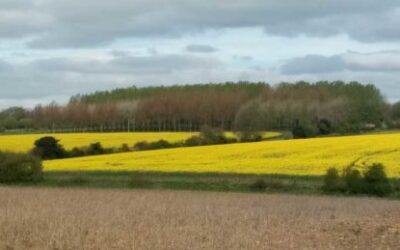 England Holiday – Our Seven Day Itinerary And Highlights